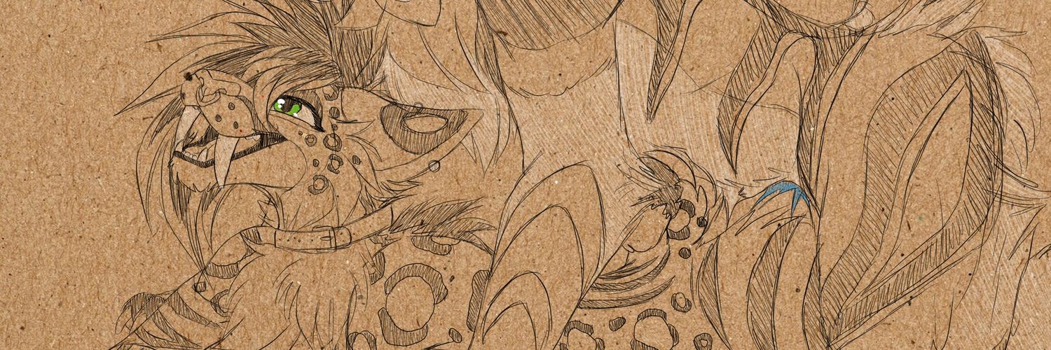 SpotcatAD's profile banner image
