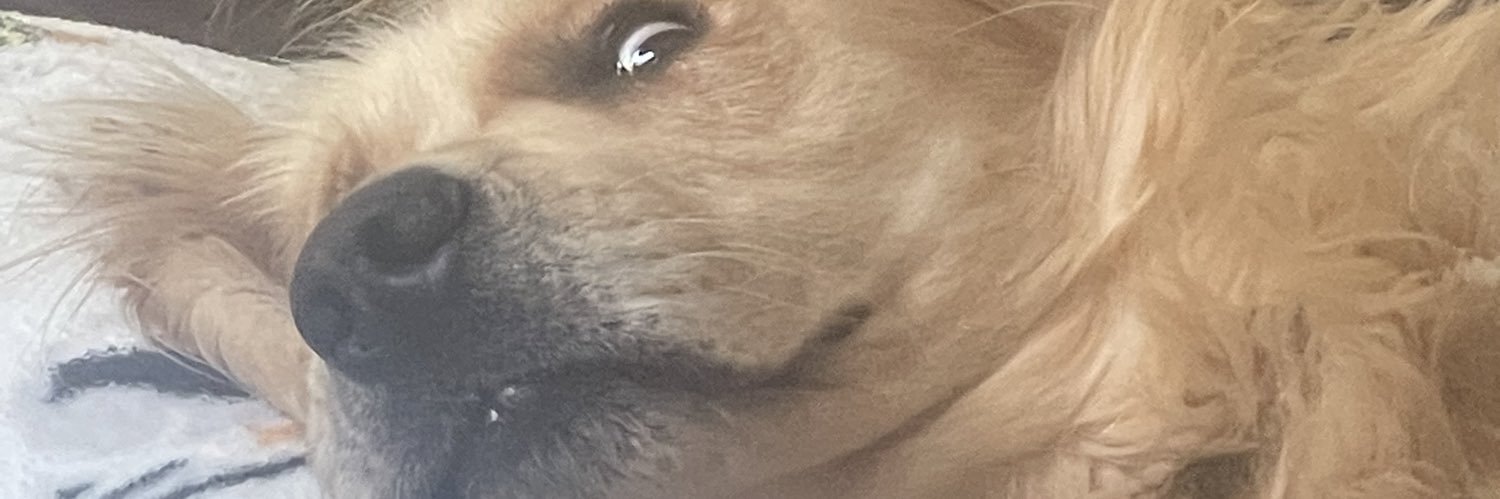 Sasssle's profile banner image
