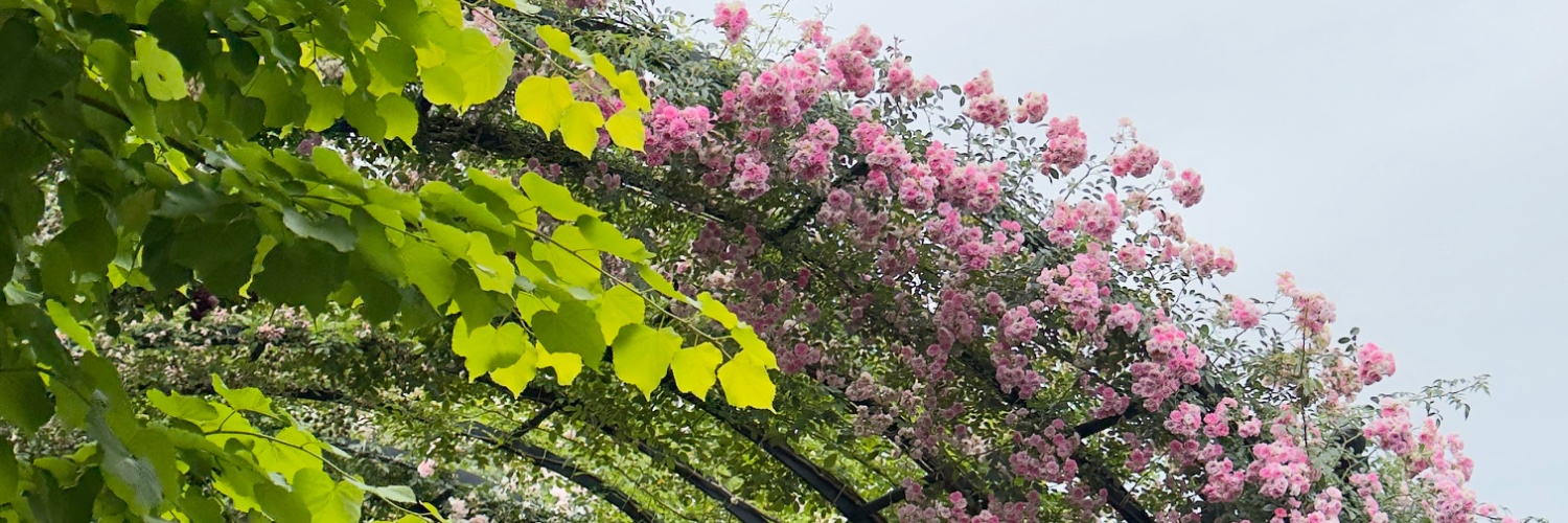 floret_r's profile banner image