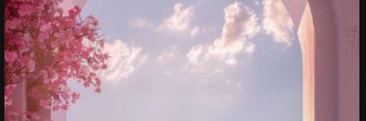 Ashley Quintanilla banner