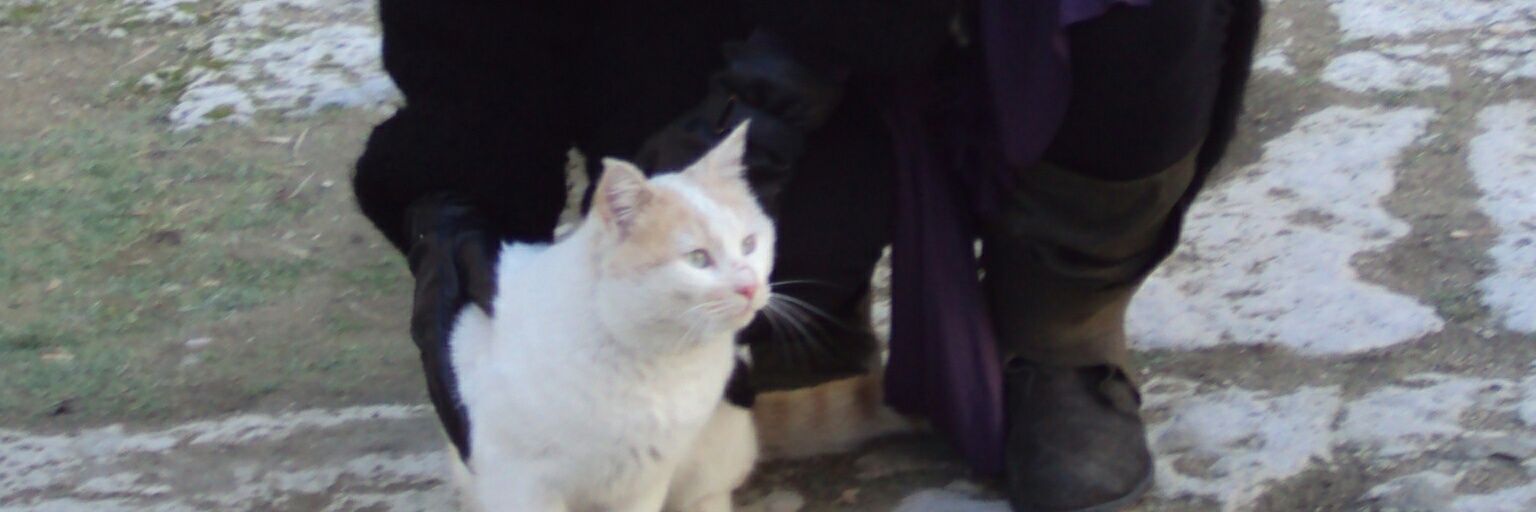 HABILITAS's profile banner image