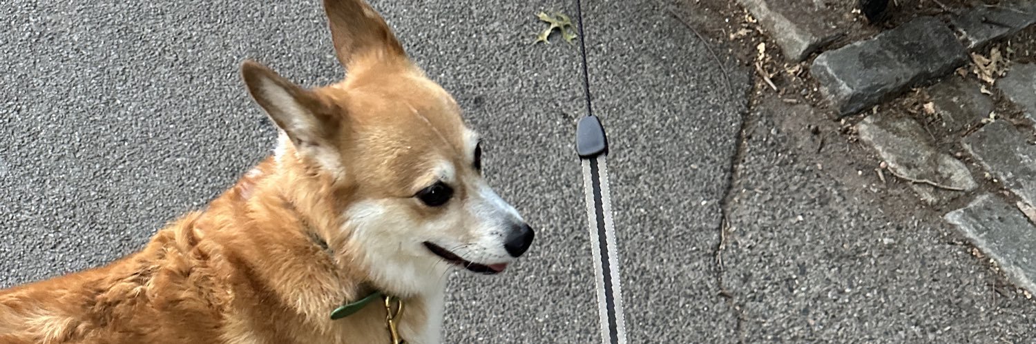 qtrangn's profile banner image