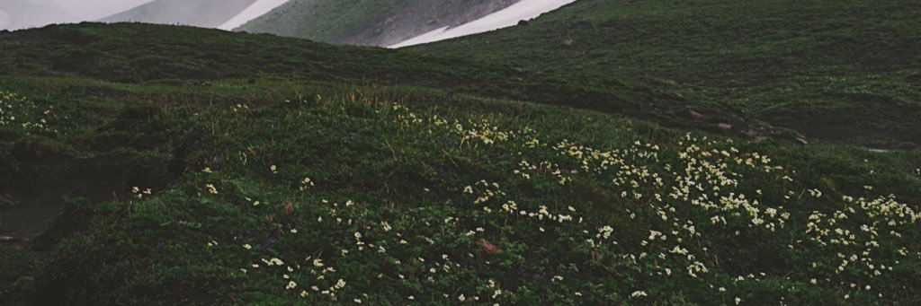 kalininalinaa's profile banner image