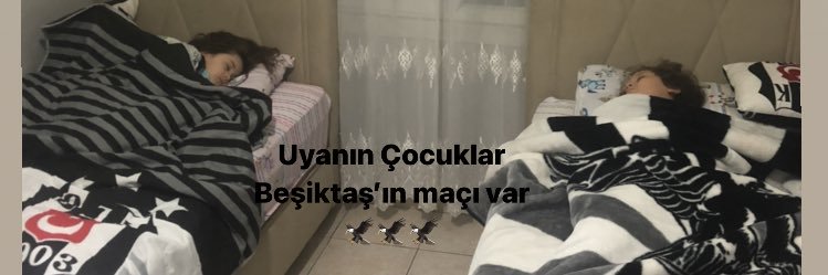 haliterolcacur's profile banner image