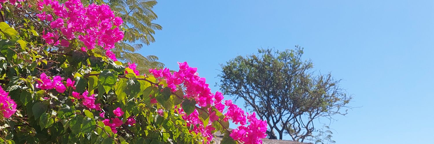 ritabossard's profile banner image