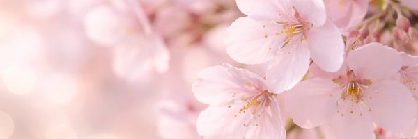apratt721's profile banner image