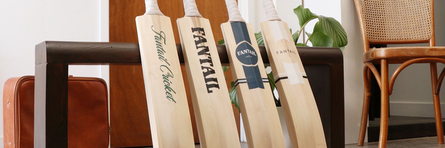 FantailCricket's profile banner image