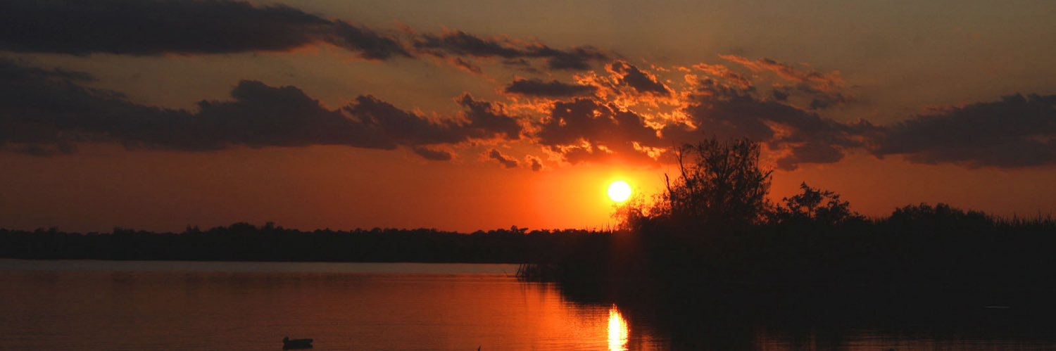 SouthernGatorz's profile banner image