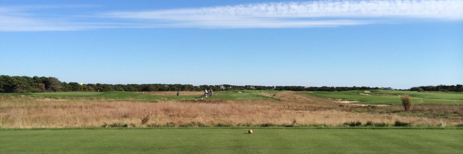 Ryan Scotto banner