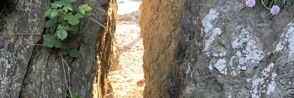 fredbear_fred Profile Banner