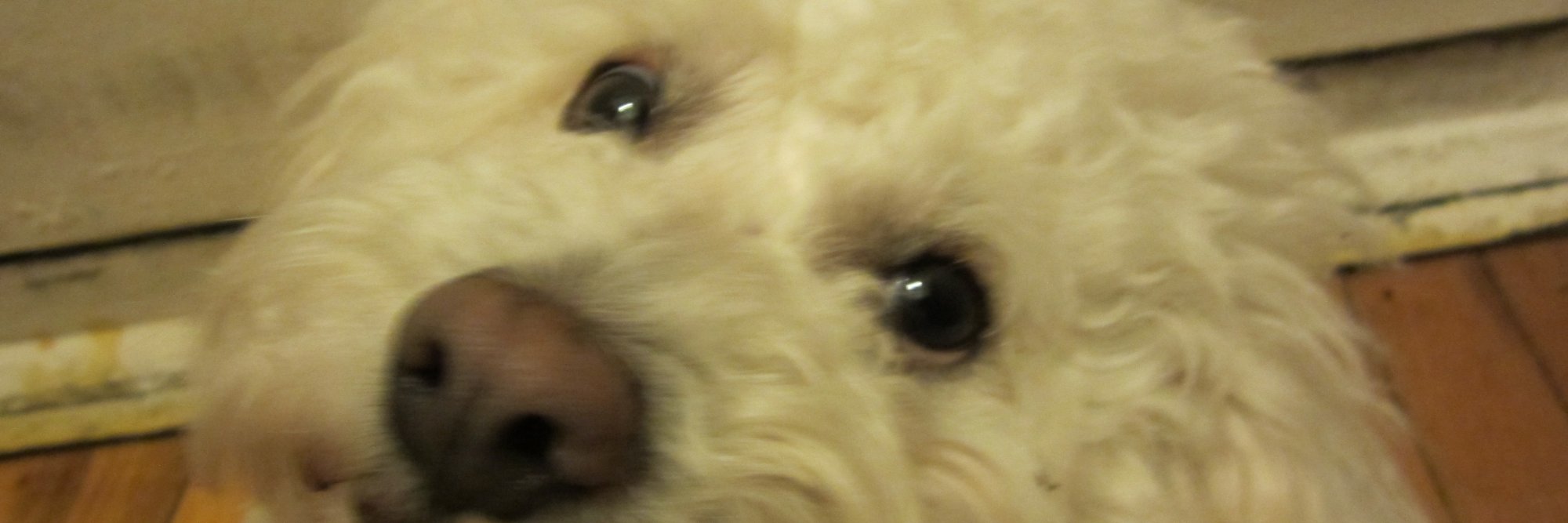 bella_akpan's profile banner image
