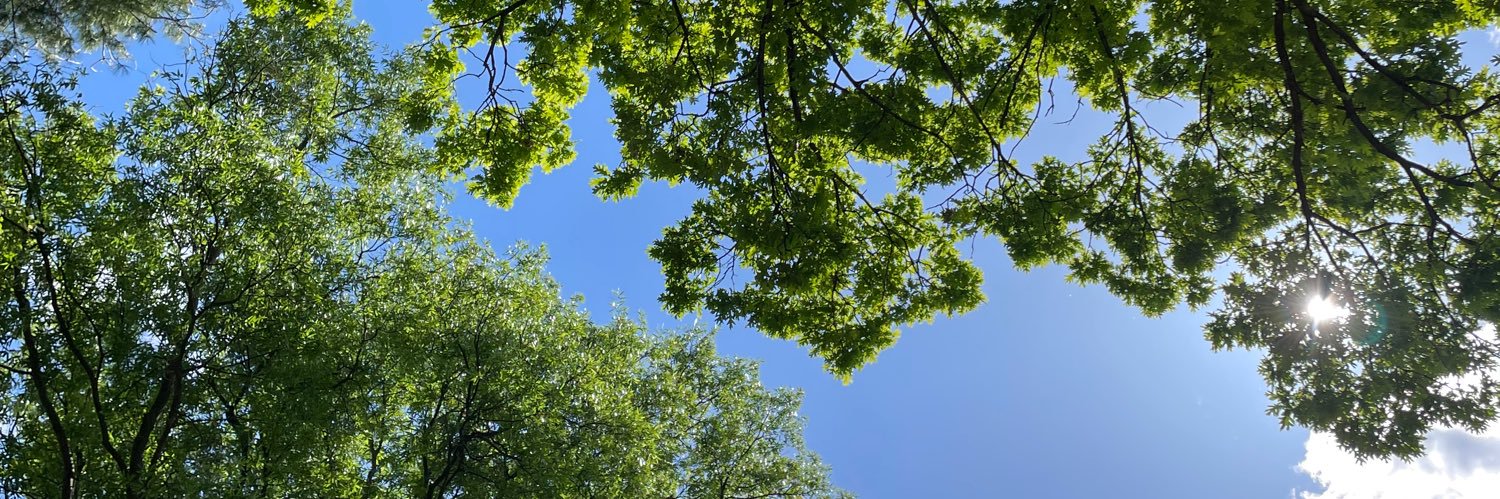 smallyew's profile banner image