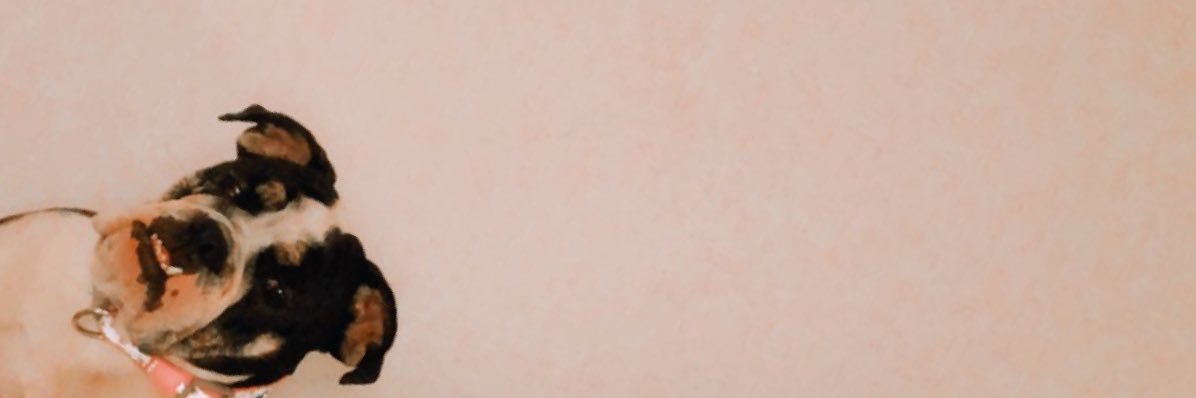 Skkyyye's profile banner image