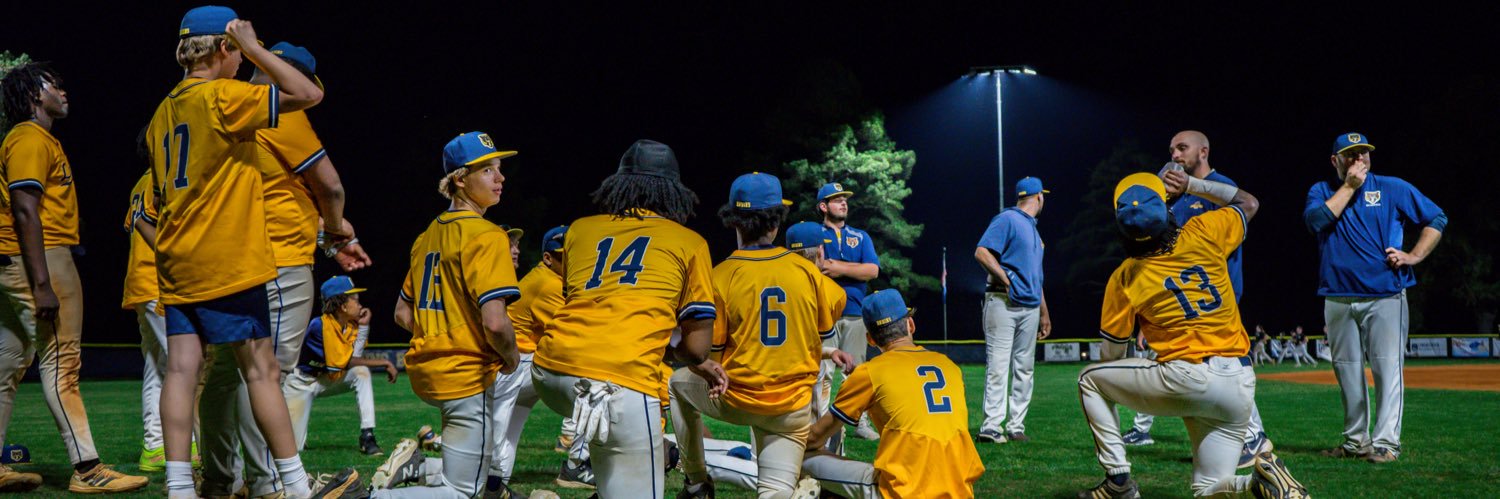 Lancaster Baseball banner