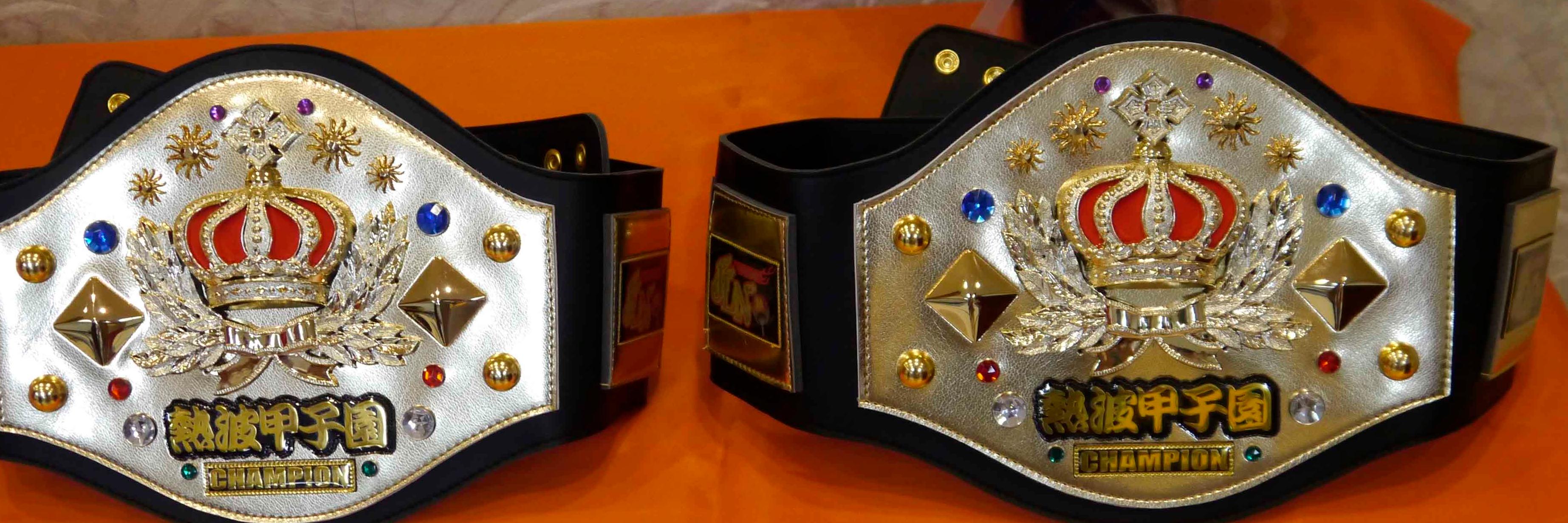 【熱波甲子園】【熱波師検定】日本サウナ熱波アウフグース協会 banner