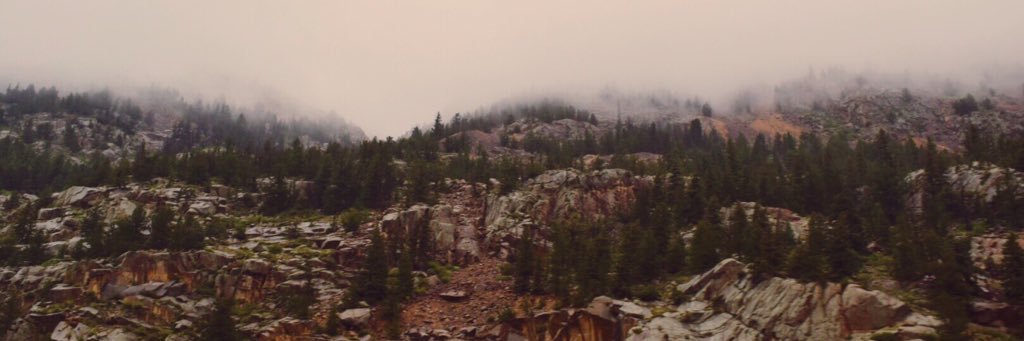 ChloeCallahan_'s profile banner image