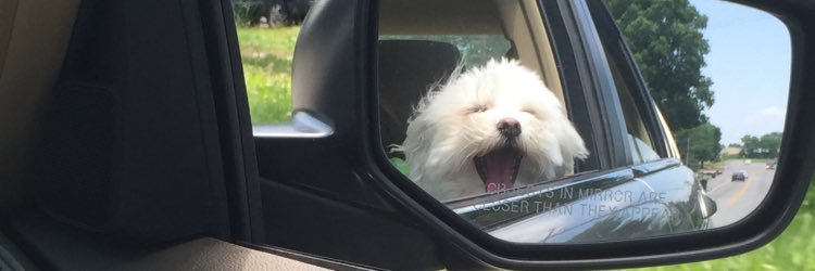 Toria_Annee's profile banner image