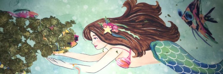 amandaaaax11's profile banner image