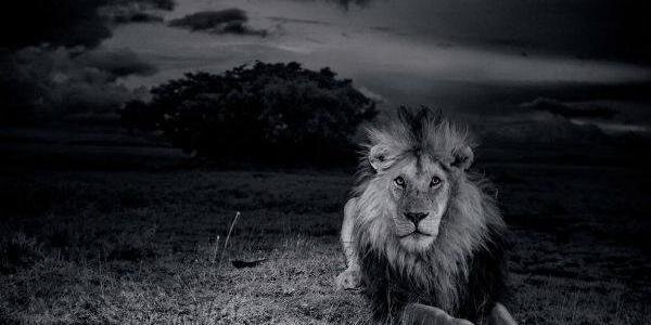 AlvaroBLeon's profile banner image