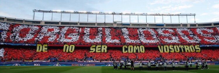 josemcc81's profile banner image