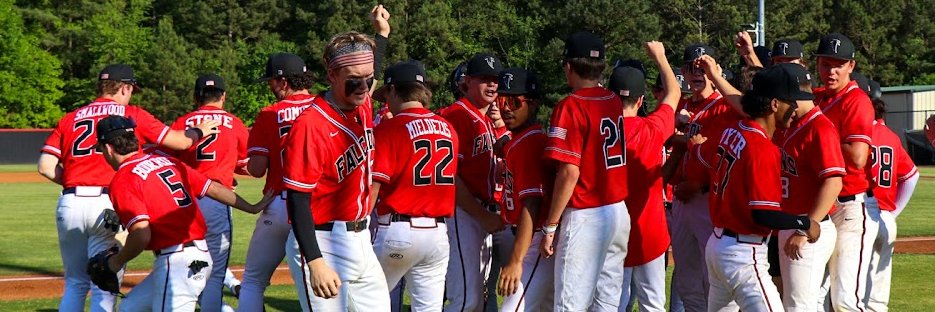 Flowery Branch Baseball's banner