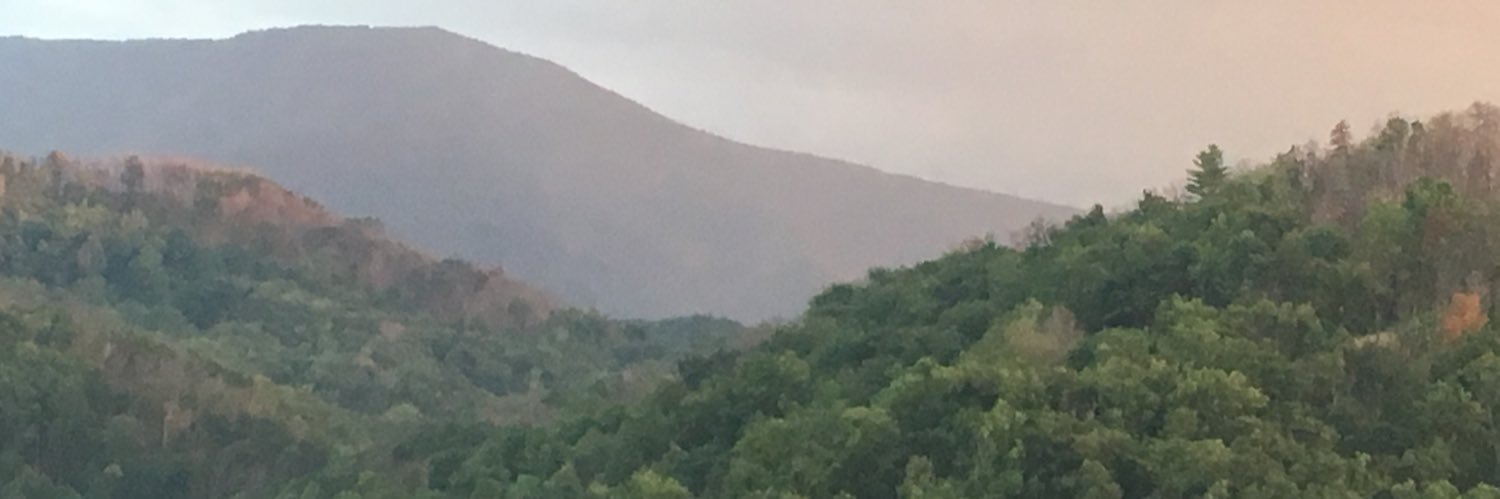 Catone12's profile banner image