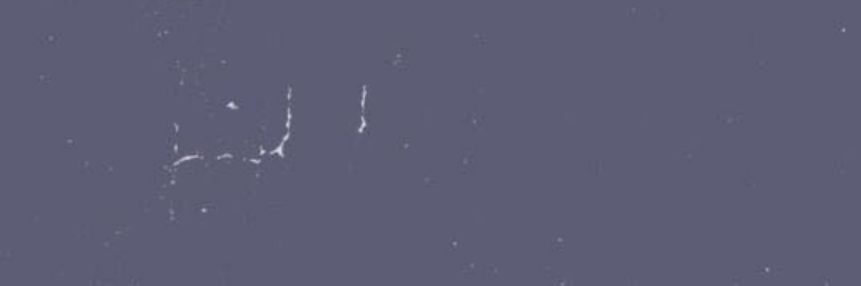 bshamoh's profile banner image