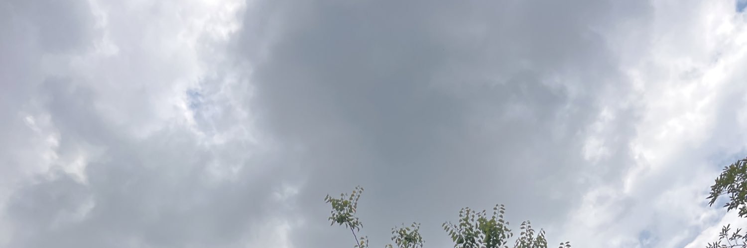 veroe_mp's profile banner image