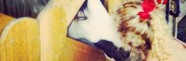 LilleyFoster's profile banner image