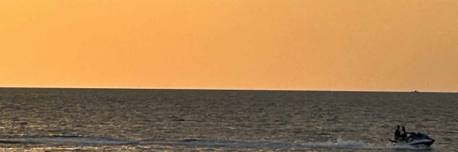 ChickClaudi's profile banner image
