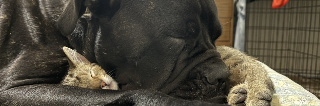 itsbonedaddy's profile banner image