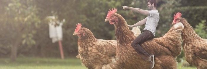 MrRoostercock's profile banner image