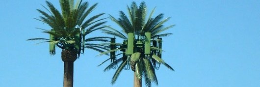Tropical Futures Institute banner