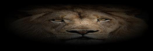 neoefm's profile banner image