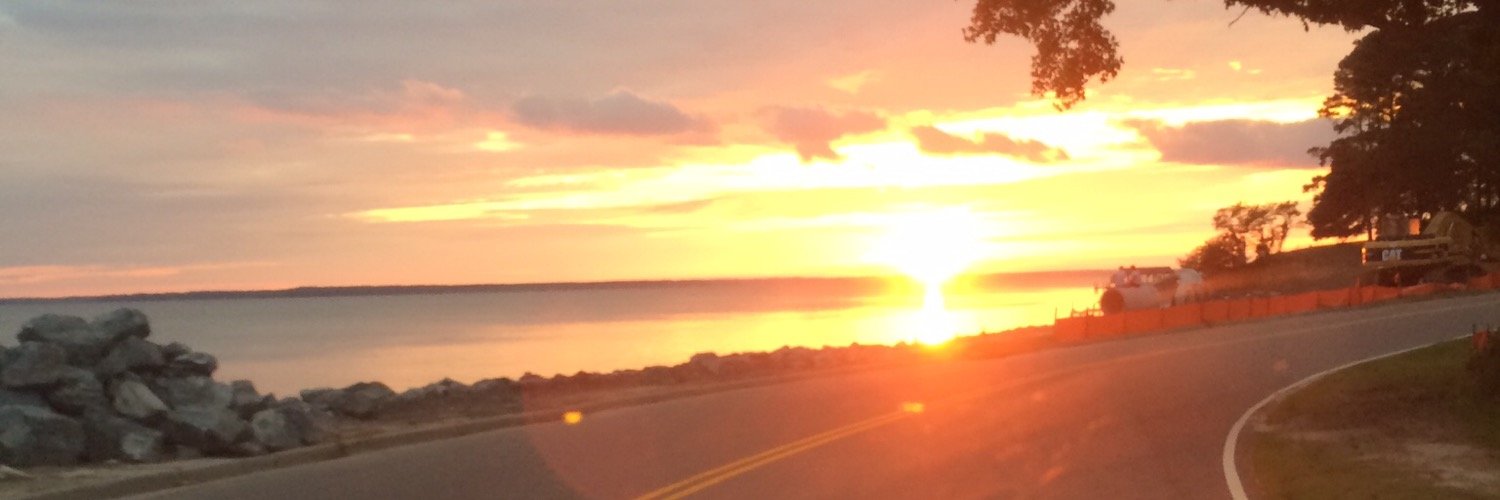 marlowemj's profile banner image