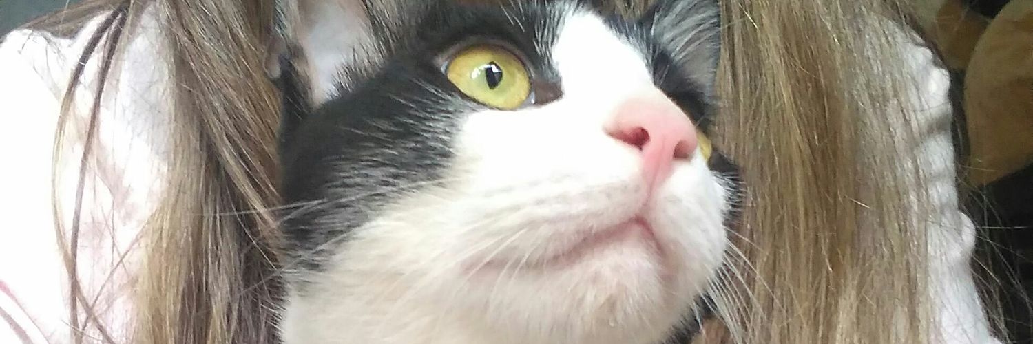 2secassPorReir's profile banner image