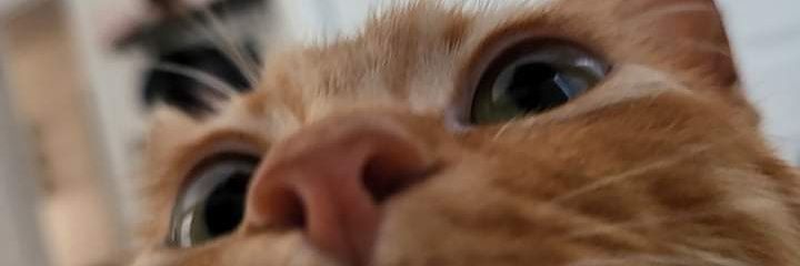 Kenz_Lovee's profile banner image