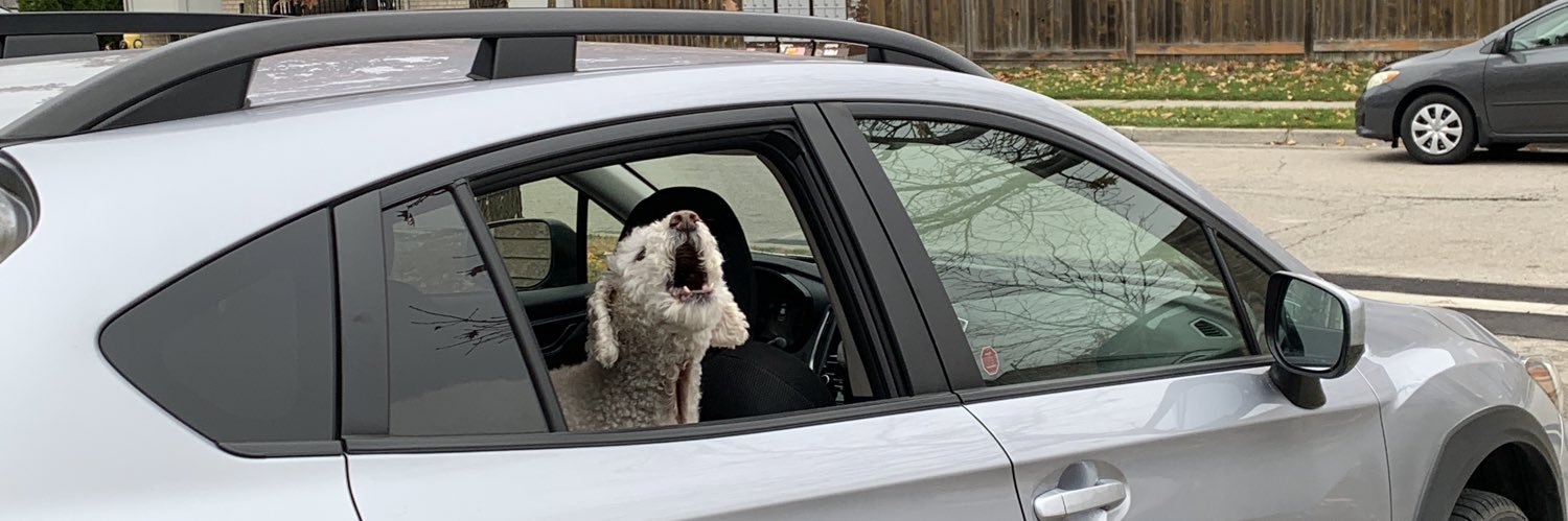 the other guy in WHAM! 🇨🇦 banner
