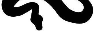 Vigilante Sh*t 🥷🏻 banner