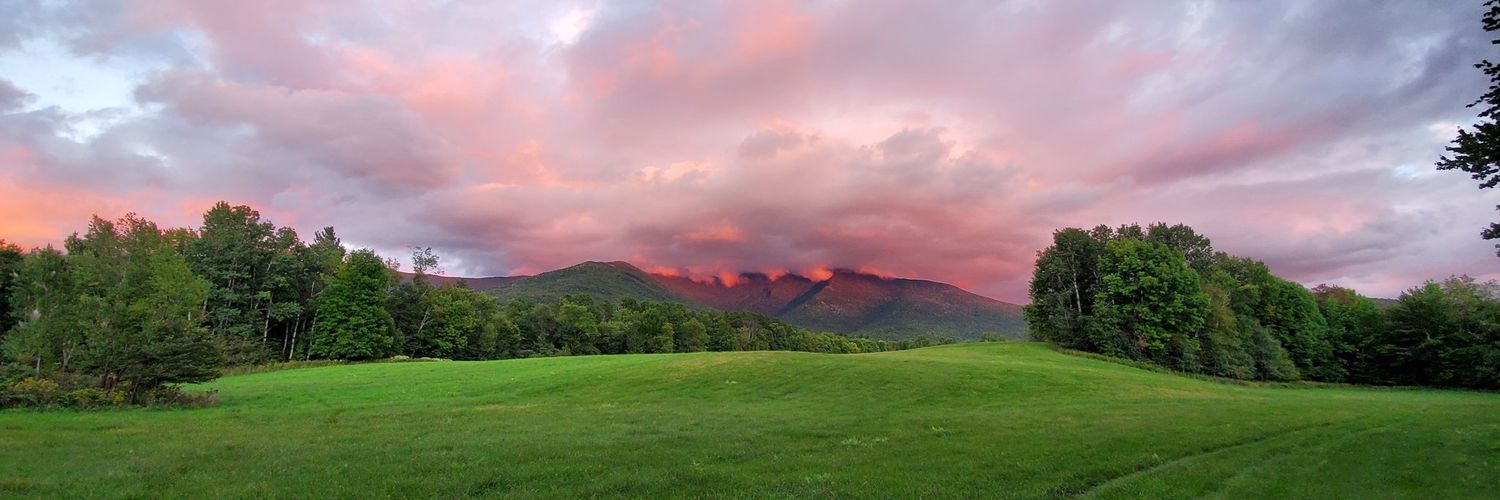 squeevening.bsky.social banner