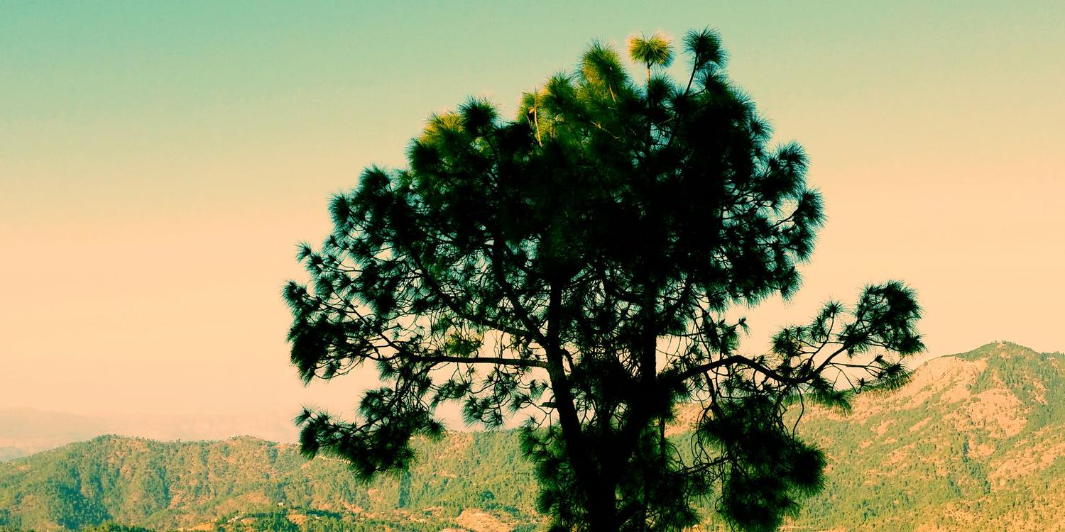 joshsukrit's profile banner image