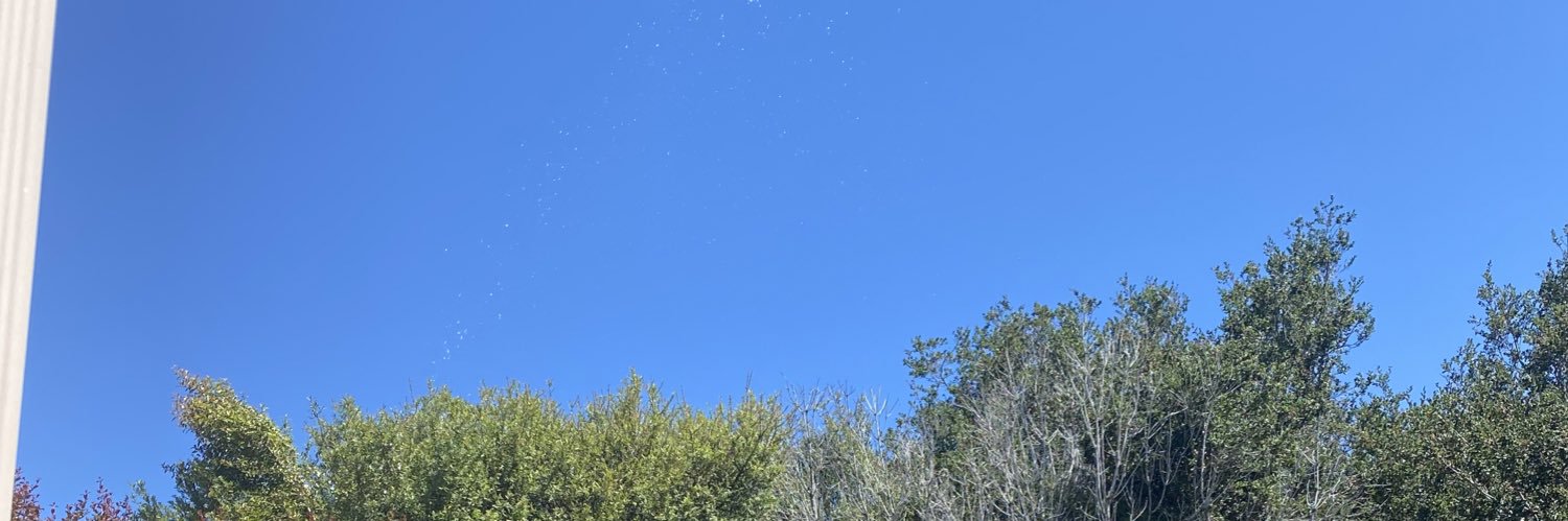 Cody O'Connell 🧢⬆️🇺🇸 banner