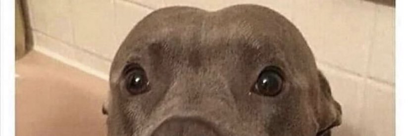 BraulioRod87's profile banner image
