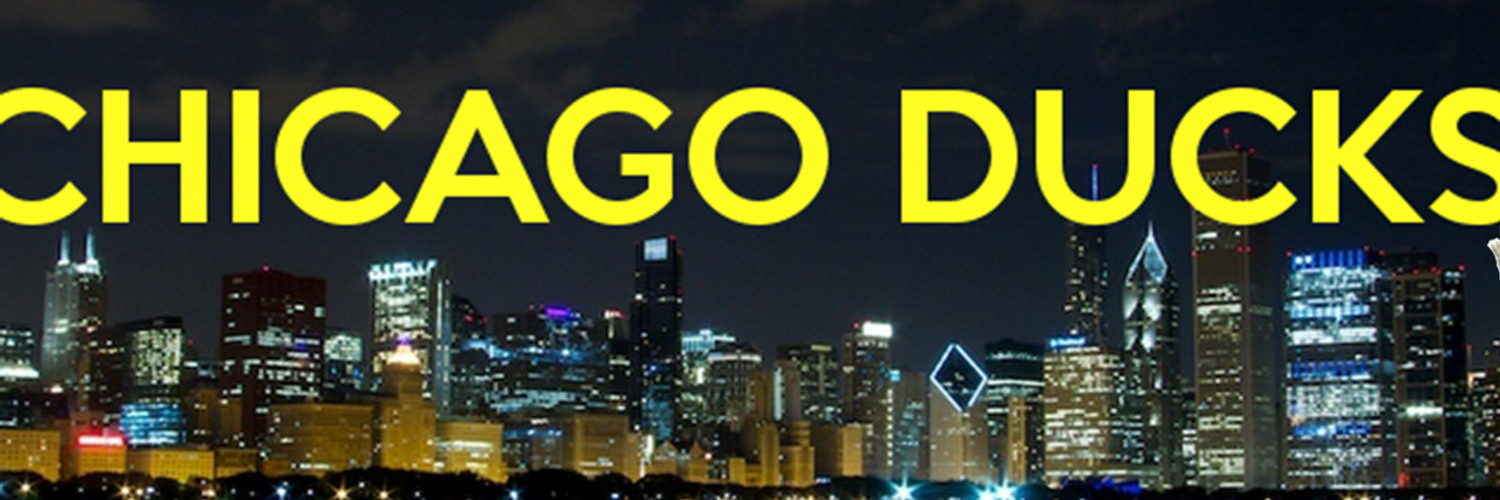 Chicago Ducks (ChicagoDucks) Twitter