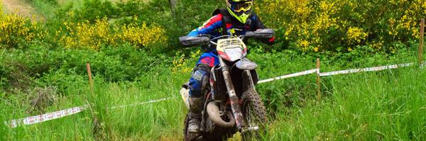 pxee31 Profile Banner