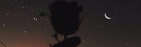 Tebogo_Scott's profile banner image