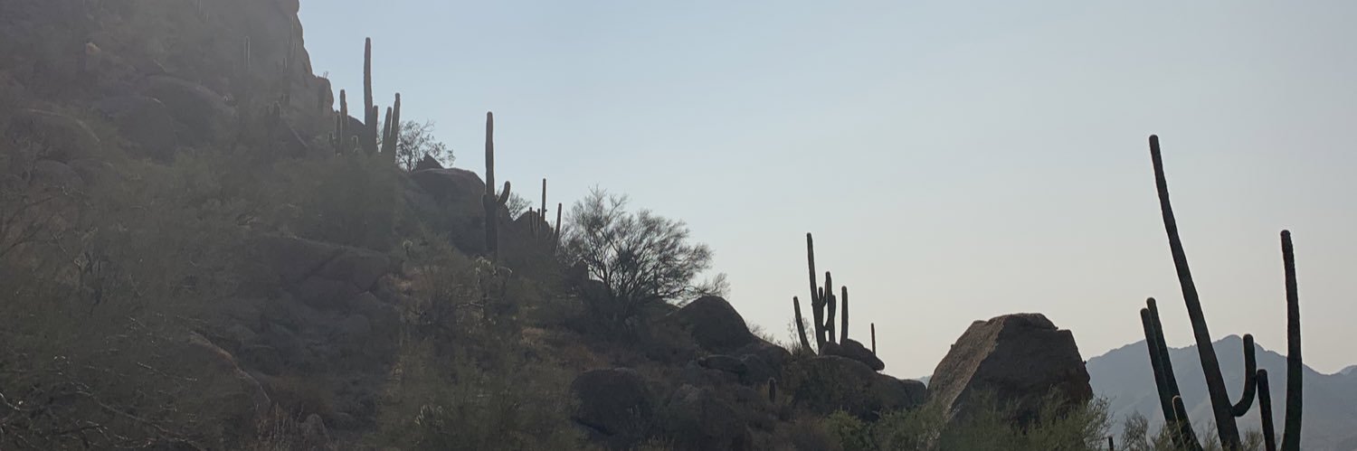 michaelstearman's profile banner image
