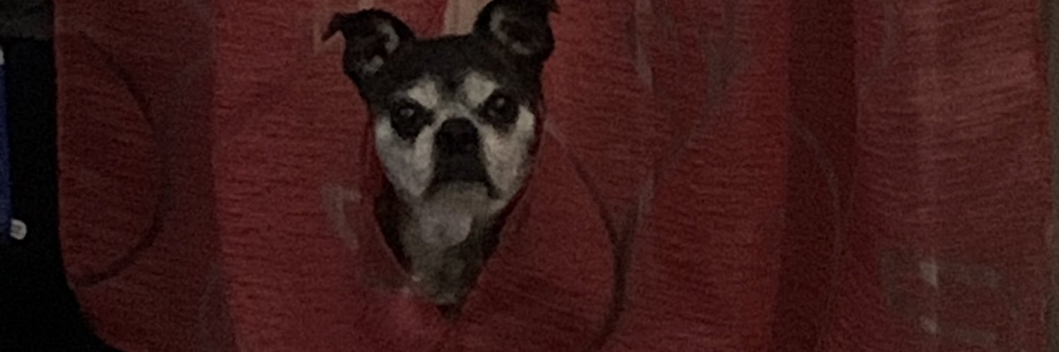 gzsfrek's profile banner image
