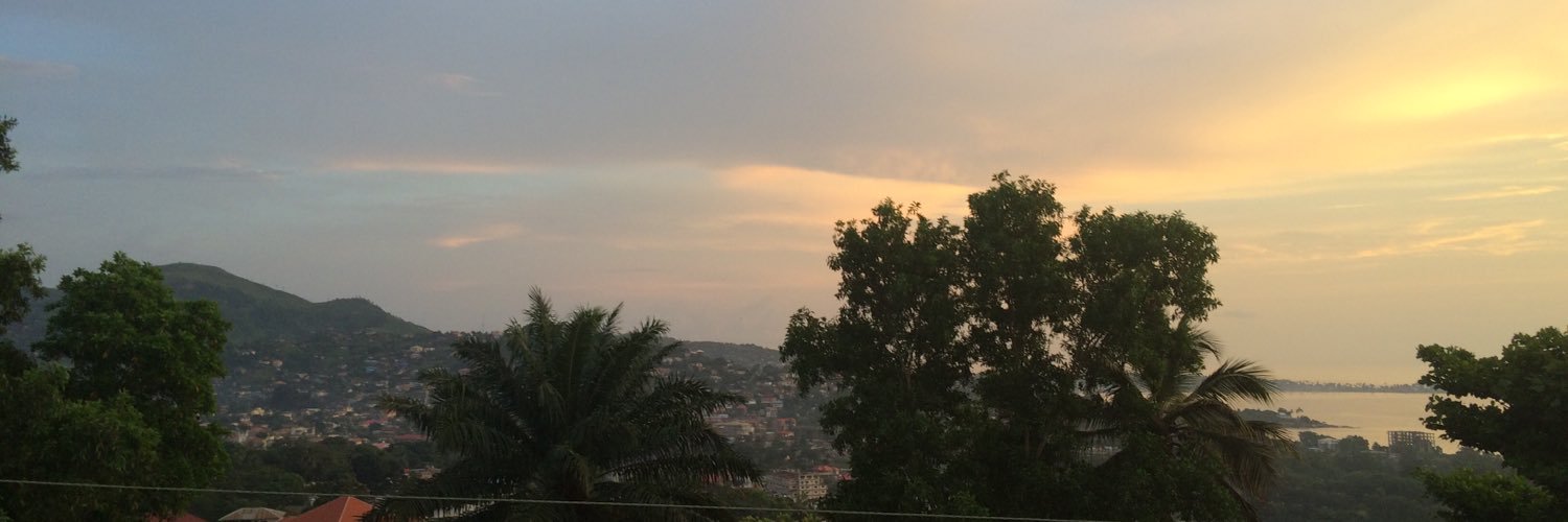 LauraHIN banner