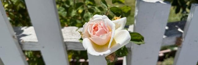 CeciliaQuick's profile banner image